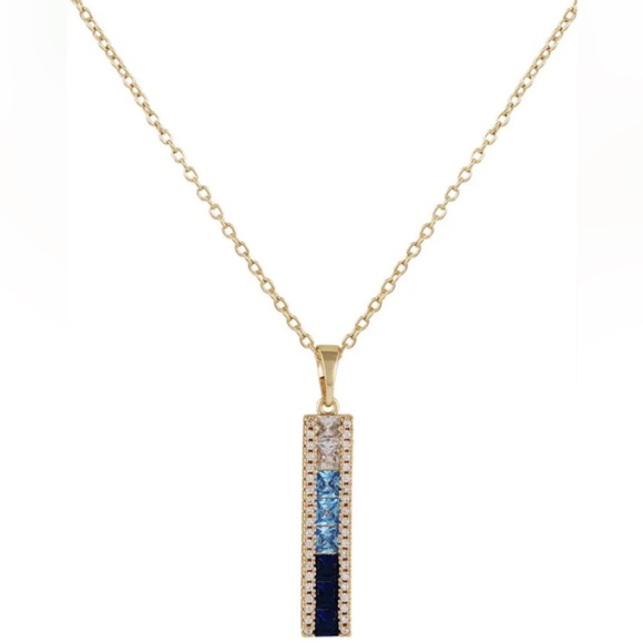 Vince Camuto Jewelry - Vince CAMUTO Necklace/Collier Blue Ombré Necklace W/Pouch